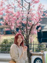 1 วันใน jiyugaoka