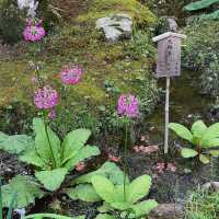 「證誠寺～永恆寧靜」
