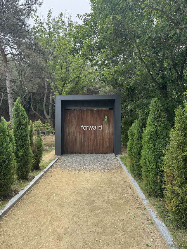 여름철 싱그러움을 느끼기 좋은 감성카페 포워드 🍃