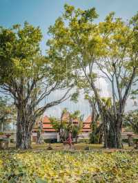 Banyan Tree Phuket วิลล่ารีสอร์ทที่ใหญ่ที่สุดในไทย