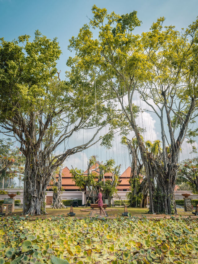 Banyan Tree Phuket วิลล่ารีสอร์ทที่ใหญ่ที่สุดในไทย