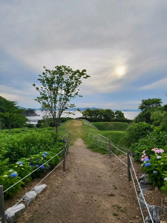수국은 아직 더 기다려야한 가덕도 야생화단지🌸