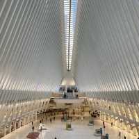 Top 3 things to see in Manhattan 🇺🇸