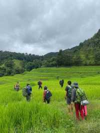 ฤดูฝนที่บ้านแม่ตะละ | เชียงใหม่ ⛰️🌧️🌾🌳