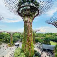 🇸🇬 OCBC Skyway