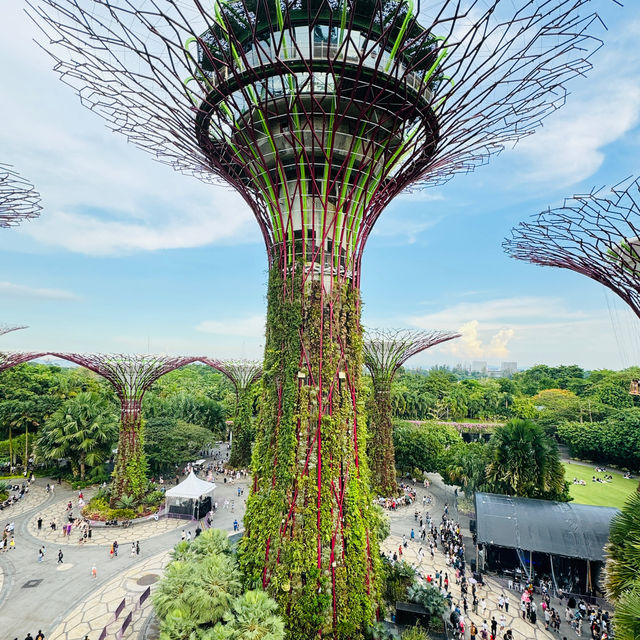 🇸🇬 OCBC Skyway