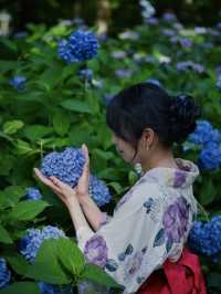 【神奈川】無料で楽しめる😍子連れにもオススメの穴場紫陽花スポット