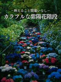 【奈良】期間限定‼️梅雨の時期こそ楽しめる😍紫陽花×階段映え絶景✨