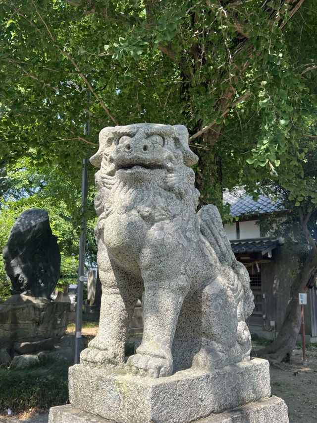【福岡神社】福岡県指定の天然記念物のイチョウの木がある