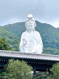 Things to Do at Tsz Shan Monastery