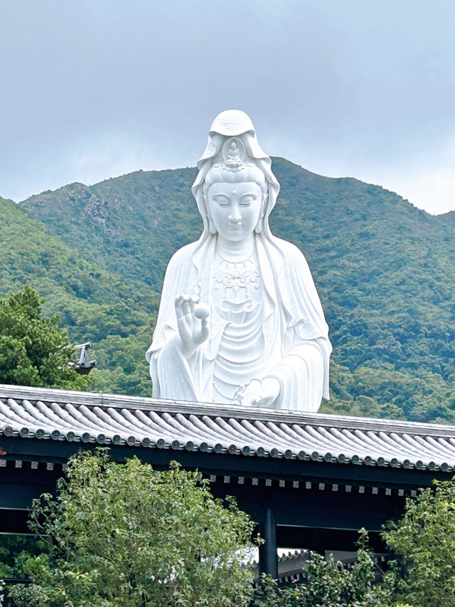 Things to Do at Tsz Shan Monastery