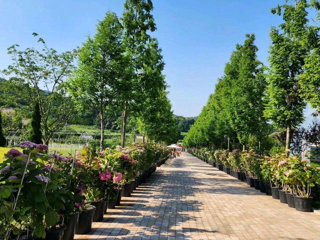용인 정원 카페, 베이커리 카페 베툴라