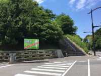 隠岐島的自然與文化：寧靜之美與歷史遺產