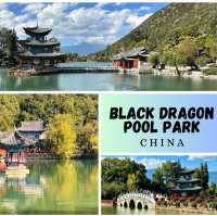 Reflections of Serenity: Black Dragon Pool Park, a Lijiang Gem!