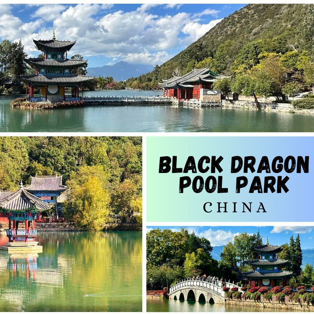 Reflections of Serenity: Black Dragon Pool Park, a Lijiang Gem!
