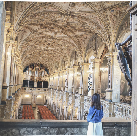 デンマーク】見応え抜群！とても美しくて見入ってしまうお城