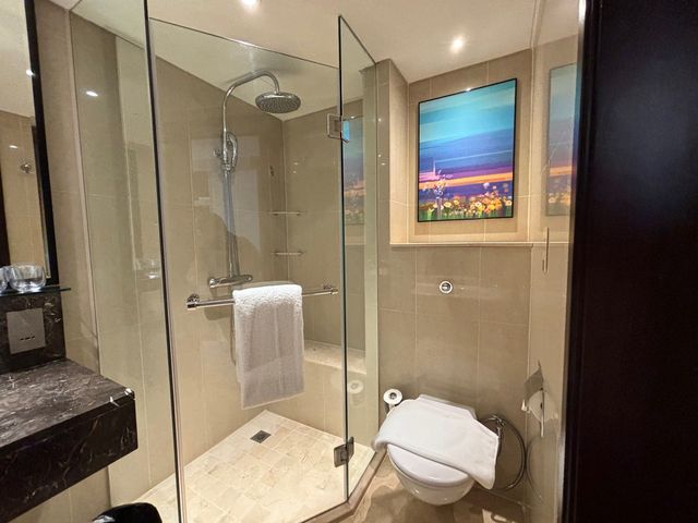 Royal Plaza on Scotts - Premiere King Room