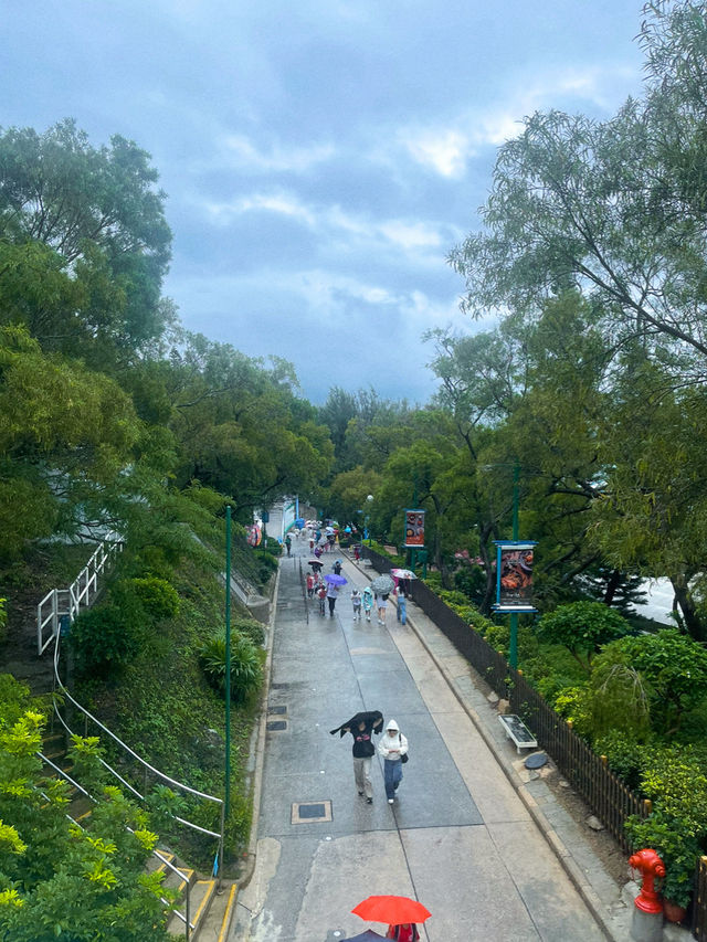 The Rapids เครื่องเล่นสุดมันส์ในสวนสนุก Ocean Park