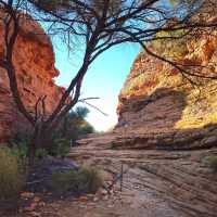 Kings canyon nt