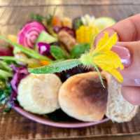 【福岡グルメ】可愛いお野菜プレート