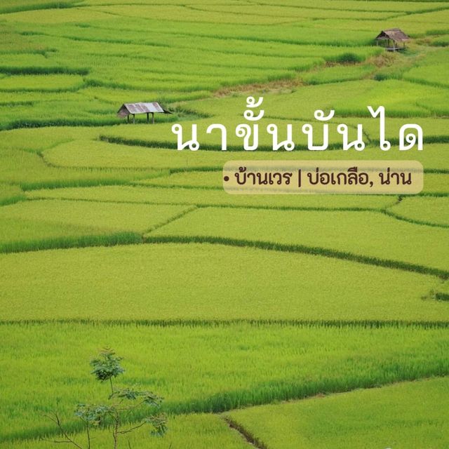 นาขั้นบันได - บ้านเวร บ่อเกลือ, น่าน