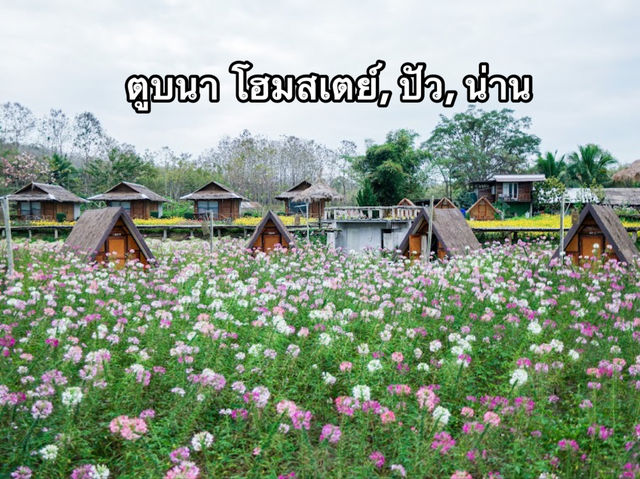 🌳ตูบนา โฮมสเตย์, ปัว, น่าน 