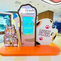 為食LUCKY Cats
