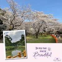 東京賞櫻代代木公園