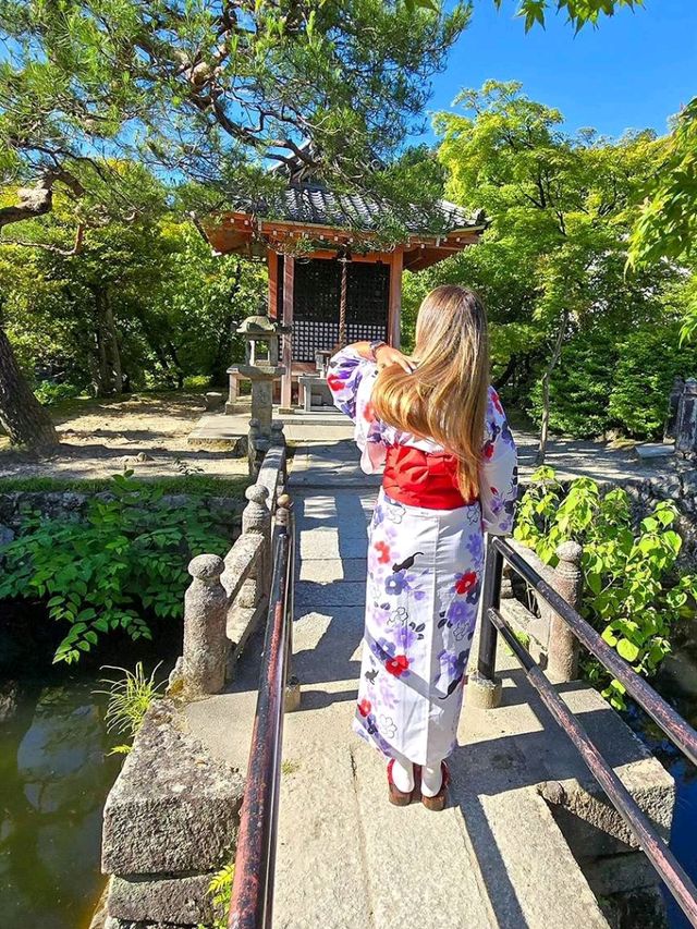 Beautiful Kyoto 🌸✨