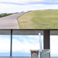 【静岡県】保存必須✳︎静岡でしたい5つのこと