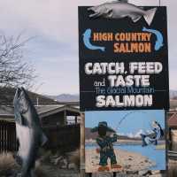 CATCH YOUR OWN FISH HERE IN NZ! 