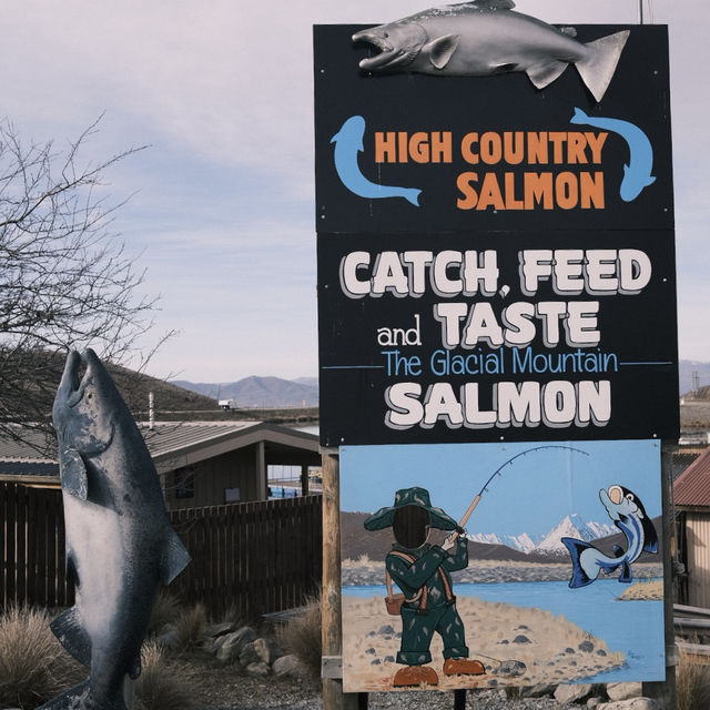 CATCH YOUR OWN FISH HERE IN NZ! 