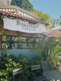 Lost in the art and aroma at Bowerbird Coffee 🎨☕️