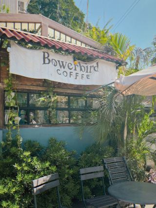 Lost in the art and aroma at Bowerbird Coffee 🎨☕️