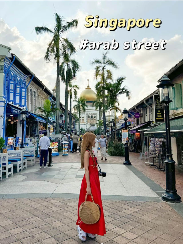 シンガポール🇸🇬アラブストリートで街歩き