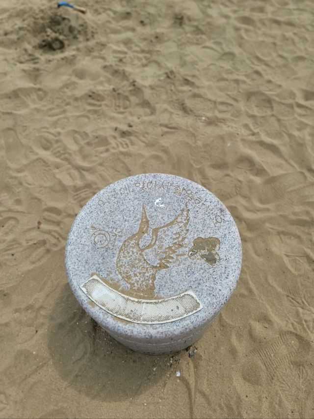 당진 여름여행지로 강추하는 왜목마을 해수욕장🏖
