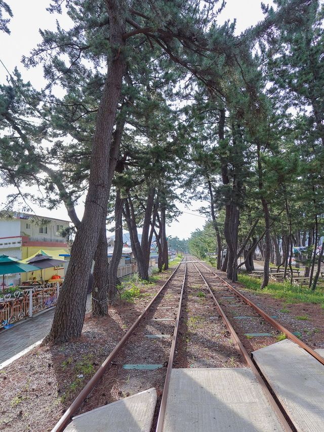 포토존 가득하고 조용한 삼척 바다 📍원평해수욕장