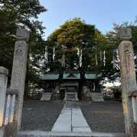 【兵庫県 西脇市】長寿の木！！県指定の天然記念物