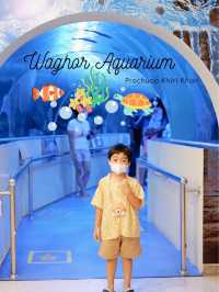 พิพิธภัณฑ์สัตว์น้ําหว้ากอ จ.ประจวบคีรีขันธ์ 🐳💕