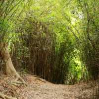 週末好去處 - 河背水塘