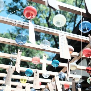 [Saitama] The beautiful sound of wind chimes 🎐 "Kawagoe Hikawa Shrine"