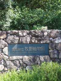 📍牧野植物園/高知
