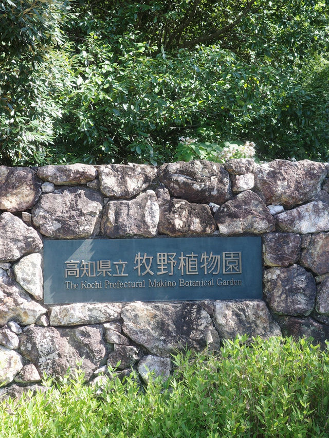 📍牧野植物園/高知