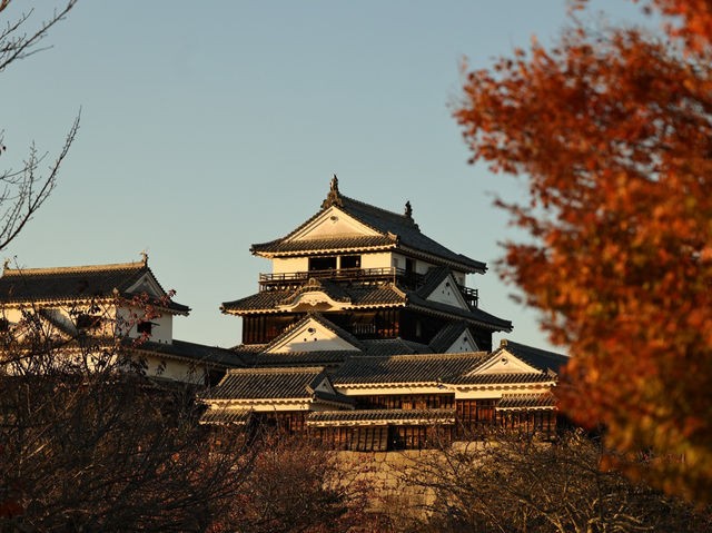松山城 - 國寶級天守閣