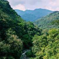 Unplanned day trip at Emeishan