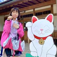 日本ㅣ東京ㅣ豪德寺ㅣ達願千貓神社/招財貓史祖