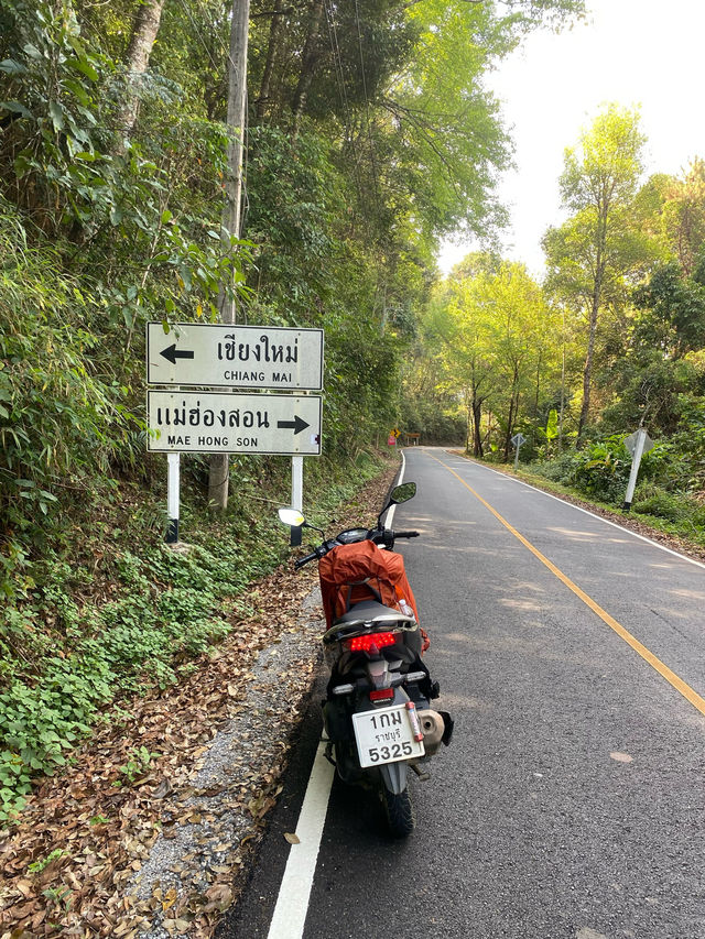 ห้วยน้ำดัง | จ.เชียงใหม่ ⛺️☀️⛰️🌳