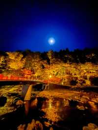 夜のライトアップ🌙愛知県1番の絶景紅葉スポット 「香嵐渓」こうらんけい
