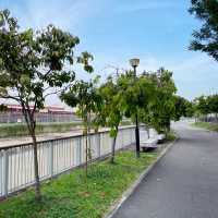 Amazing nature trail hike in Singapore!