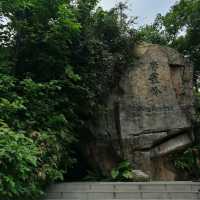 Nature’s Retreat in the City